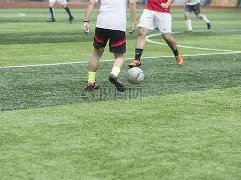 广东,男篮夺冠,再创篮球巅,开云体育,开云体育官网,开云体育app,开云体育平台,KAIYUN,SPORTS,kaiyun登录入口