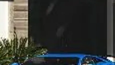 [黄蟠桃批发]金蜜蟠桃3