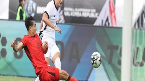 开云体育官方 产品 092851 ida