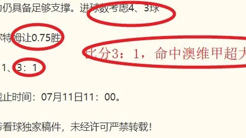开云体育官方 141753 21